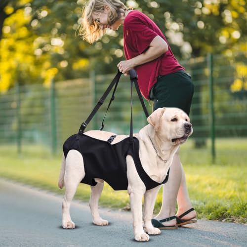 Yuragim Hunde Tragehilfe, Tragbares Hundegeschirr Treppe Verstellbare Tragehilfe Geschirr Hebegeschirr für Hinterbeine Hüftstütze mit Griffen Sicherheitsunterstützung für behinderte, verletzte Hunde