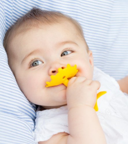 Miniatura 2 de Innobaby Original Teethin' Smart EZ Grip Star Mordedor y juguete sensorial para bebés y niños pequeños. Mordedor sin BPA