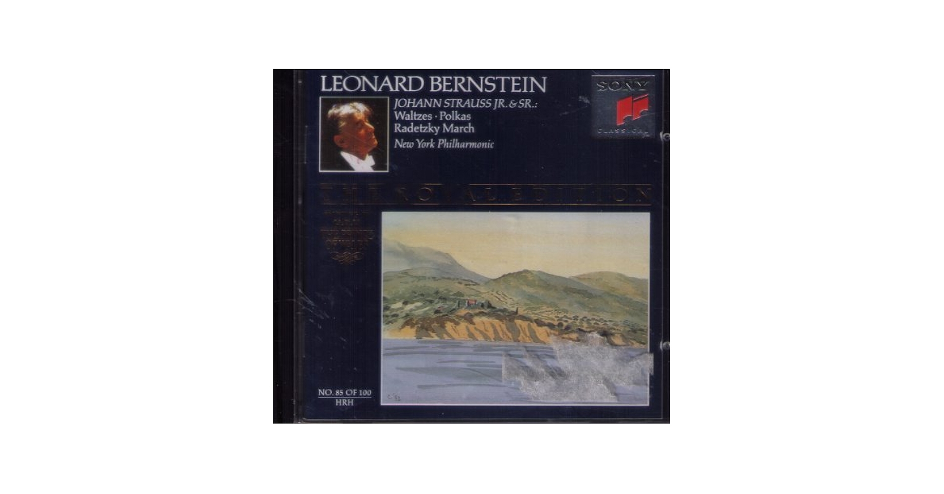 Johann Strauss, Jr., Leonard Bernstein, New York
