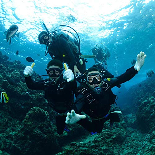 Wacool Adults Snorkeling Snorkel Scuba Diving Package Set Gear With Travel Full Foot Short Swim Pocket Fins Anti-Fog Coated Glass Silicon Mouth Piece Purge Valve And Anti-Splash (Black,Xl) #TOP7