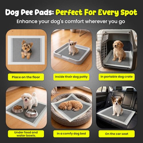 Image of FPN Puppy Pads for Dogs Charcoal | Disposable Pee Pads for Puppies & Small Dogs | Pet Training Pads for Potty Training, Small Dog Pee Pads, Puppy Pads Bulk (100, 13x18 inch)