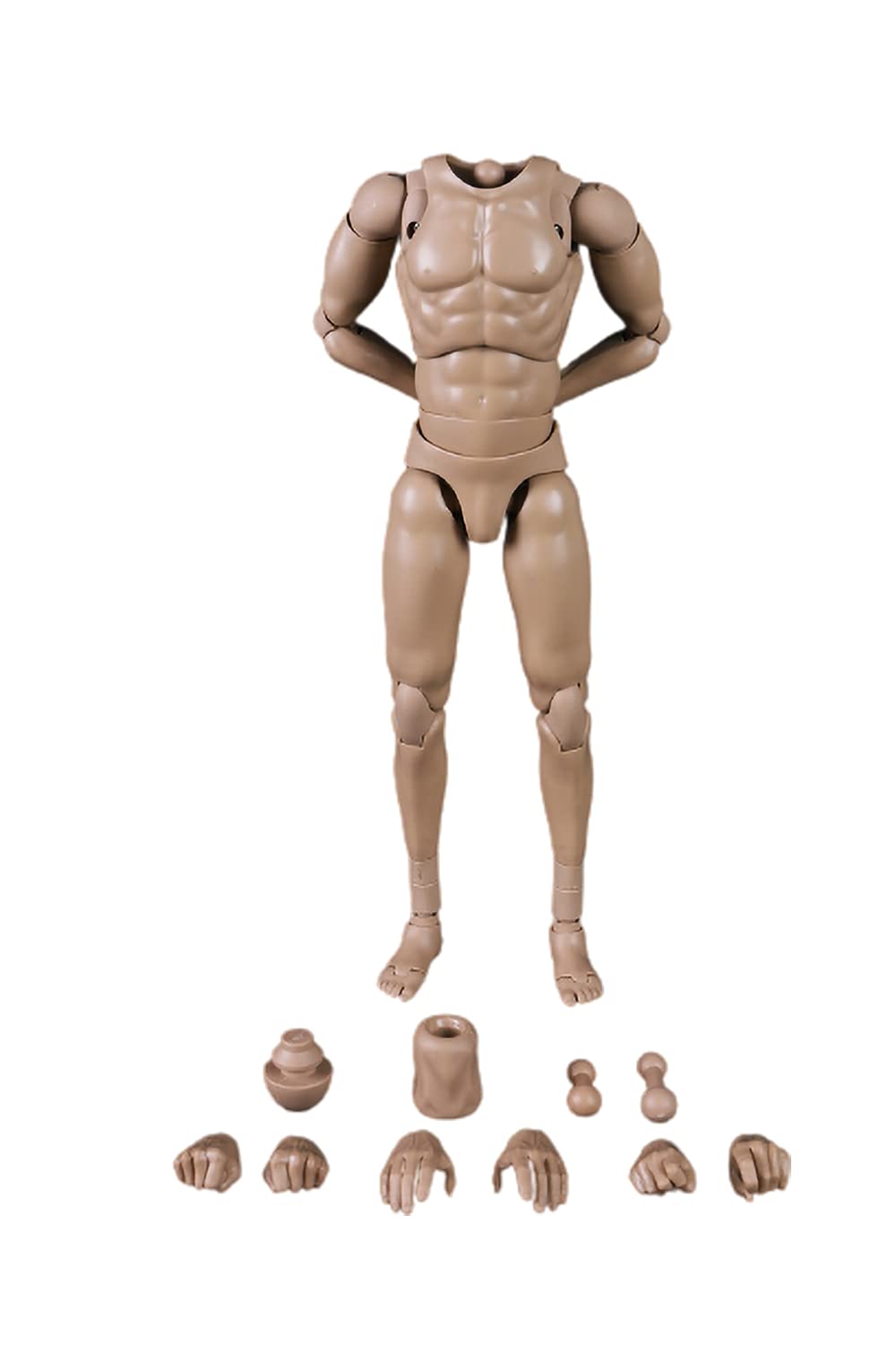 Amazon.com: i8 TOYS COOMODEL MB002 1/6 Scale Tall Male Seamless