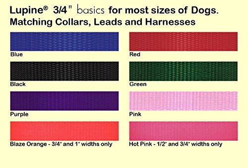 Collier pour chien Lupine Combo évite les fuites et étranglements - 2