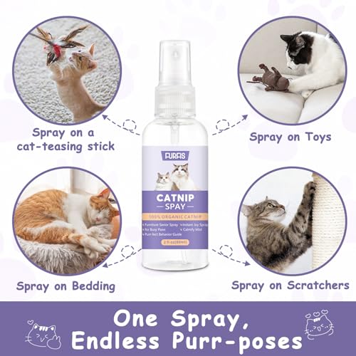 Organic Catnip Spray for Cats & Kittens - Extra Strength Catnip Formula,Renews Cat Toys & Scratchers, Natural Catnip Spray for Indoor Cats, Mess-Free (2 fl oz) - Thumbnail 6