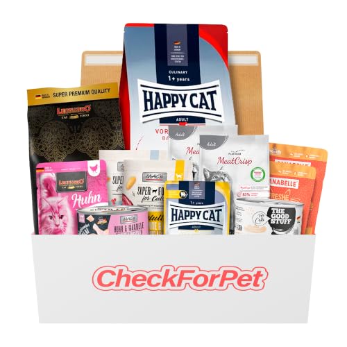 Katzenfutter baby katzen test