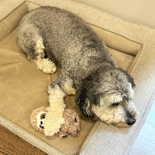 SPOT Fun Sloth Dog Toy - Soft, Stuffed, Squeaky, Plush Fabric Toy for Mini and Small Dogs and Puppies, Enrichment for Light Chewers and Cuddlers, 7in - Image 5