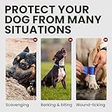 BRONZEDOG Hundemaulkorb Verstellbar Robustes PVC/Metalldrahtkorb für Große und Sehr Große Hunde mit Lederbändern Atmungsaktiv, Trinkfähig, Training, Verhindert Beißen (Great Dane, Edelstahl)