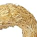 FloraCraft Straw Wreath Form 12 Inch Natural