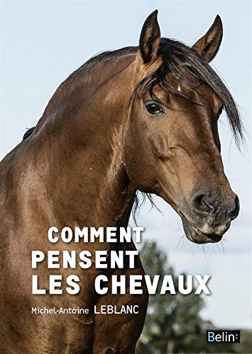 Télécharger Comment pensent les chevaux Livre PDF Gratuit