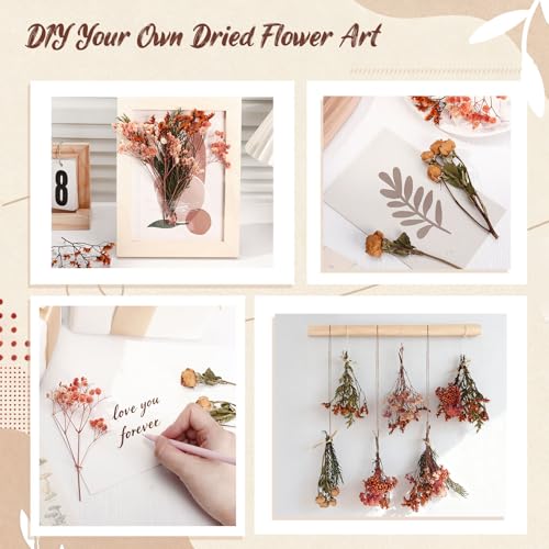 Flores secas naturales para decoración boho y manualidades miniatura 7