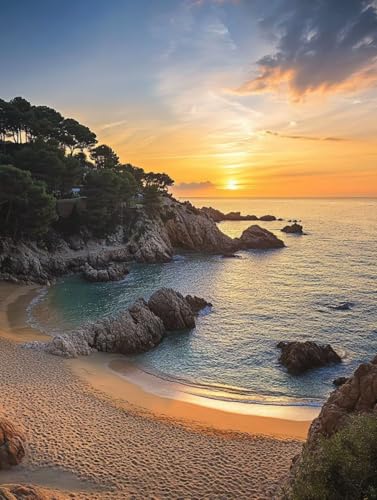 Peinture numéro adulte plage au coucher de soleil pour illuminer la décoration de votre salon