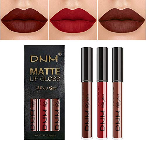 3Pcs Matte 24-hour Liquid Lipstick Sets,DNM Matte Dark Red Brown Lipstick Lip Stain Long Lasting 24 Smudge Waterproof Lip Gloss Gift Set Matt Lipsticks Set Matt Liquid Women Makeup Lipstick Kit 02