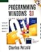 Programming Windows 3.1