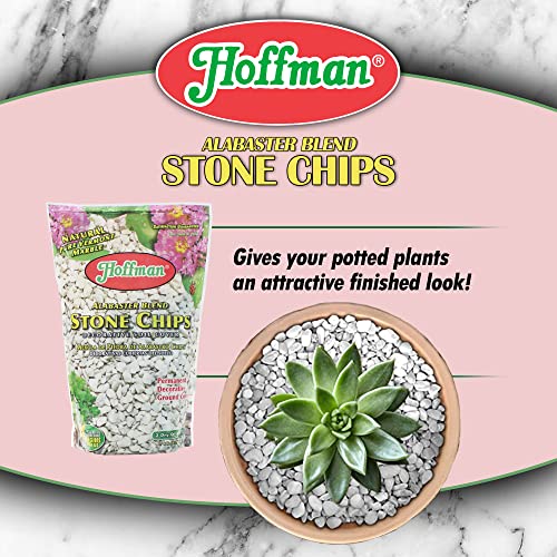 Hoffman 14102 Decorative Soil Covers Alabaster Blend Stone Chips, 2 Quarts #TOP4