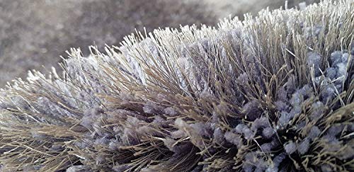 Image of F R Creation Shaggy Carpet Solid Plain Fluffy Fur Rectangular Rugs for Bedroom Living Room Microfiber & Polyster Modern Interior Floor Size 5X8 Multi