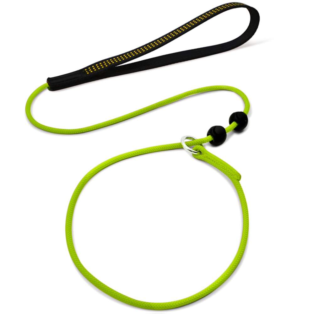 BeauGo Retrieverleine 2-in-1 – Schlupfhalsband & Trainingsleine, 1,5 M, Kein Ziehen, Für Alle Hundegrößen
