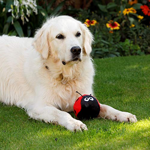 Petface Lindy The Ladybird Plüsch-Hundespielzeug