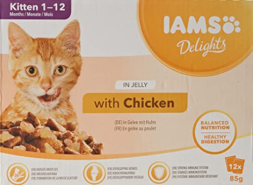 IAMS Delight Chaton Nourriture Humide en gélée saveur Poulet 12x85g
