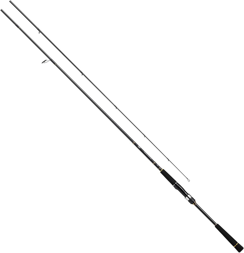 Amazon | ダイワ(DAIWA) ロッド 21 シーバスハンターX 93ML・R