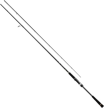 Amazon | ダイワ(DAIWA) ロッド 21 シーバスハンターX 93ML・R