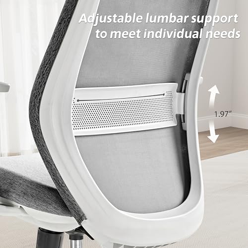 Image of EUREKA ERGONOMIC Mesh Office Chair Grey, Ergonomic Office Desk Chair with Adjustable Headrest, Comfy Home Desk Chair with Adjustable Lumbar Support, High Back Office Chair with Arms and Wheels