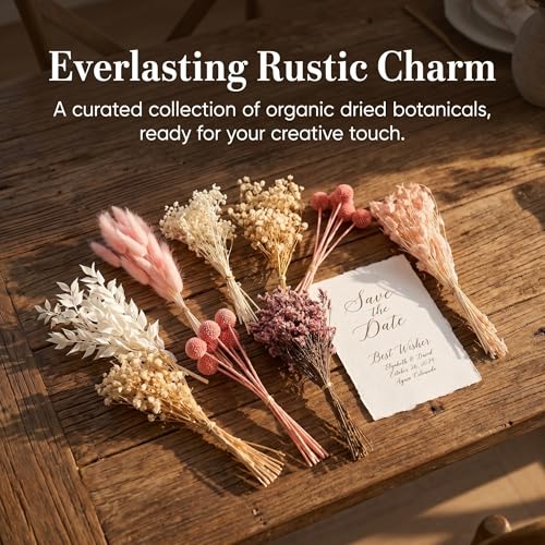 Kit DIY Ramo de Flores Secas, 9 Tipos Naturales miniatura 7