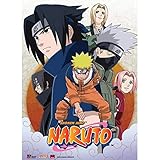 Great Eastern Entertainment Naruto Leaf Village Group Wall Scroll, 33 by 44-Inch