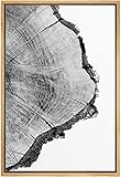 SIGNWIN Framed Canvas Print Wall Art Detailed Wood Rings of Tree Nature Wilderness Photography Realism Rustic Dramatic Grey Black and White for Living Room, Bedroom, Office - 16'x24' Natural