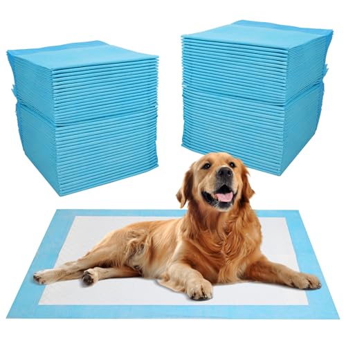 JANUIXCO 100 Stück PIPI Matten für Hunde 60 × 60 cm - Wickelunterlage Auslaufsicheres 5-Lagiges Design, Schnell Trocknender Oberfläche - Inkontinenzunterlage Einweg für Kranke und Inkontinente Tiere