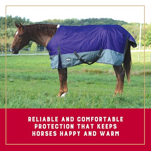 Couverture pour cheval violette protection équestre hiver 183cm - 3