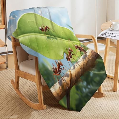 Manta de franela grande de 180 x 200 cm, manta sofá suave y manta cama para las cuatro estaciones 5