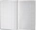 Acco/Wilson Jones Products - Account Book, S.E. Ledger-Ruled, 150 Pages, 11-3/4