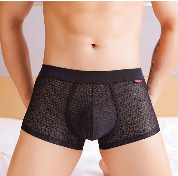 Mens Mesh Trunks Underwear See Through Boxer Briefs4