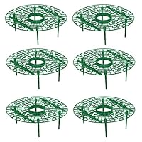 Hemoton 6pcs Erdbeeren Stütze Erdbeer Rankhilfe Pflanzenstütze Erdbeer Wachstumsregal Salat Tomaten Beere Rankhilfe Pflanzenstütze Kunststoff Hausgarten Garten Gewächshaus Grün Gartengeräte