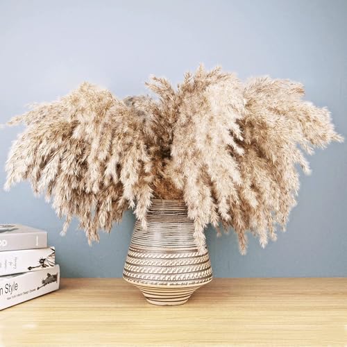 Pampas Grass Large Tall Fluffy Pampas Grass Brown Dry Pompous miniatura 3