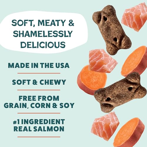 Image of Shameless Pets Soft & Chewy Dog Treats, Reelin' Salmon Meaty Tenders, 8oz - Real Salmon is 1st Ingredient - Grain Free, No Corn or Soy - Digestive Support - for Small, Medium & Large Dogs