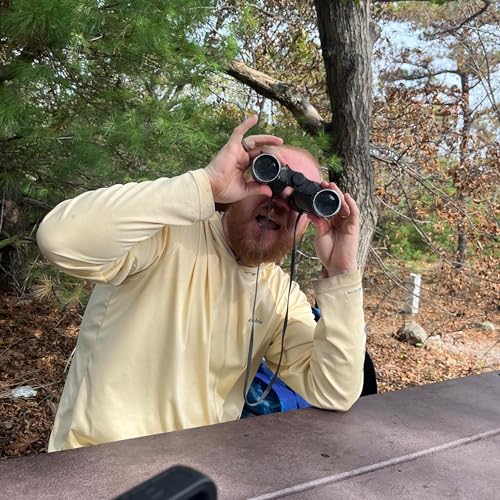 『Bob In The Shed』のカバーアート