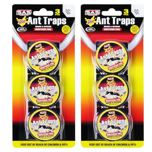 APXEL Ameisenköder,6PCS Ungiftige Ameisenfalle Klebefalle zur Überwachung von Ameisen – Geruchslos, sicher für Kinder & Haustiere (A)