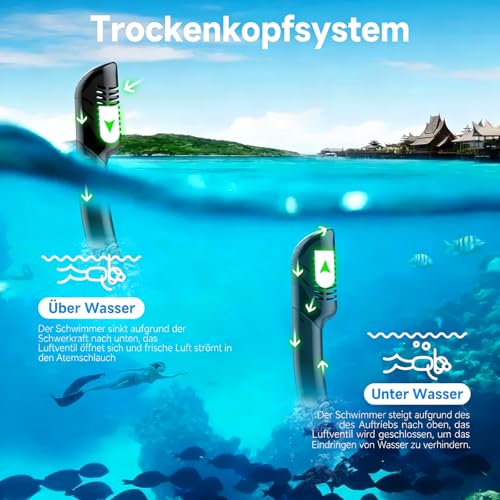 Schnorchelset Erwachsene Trocken mit Maske & Schnorchel Antibeschlag 180°-Panoramablick Schnorchelset Damen Herren zum Schnorcheln Schwimmen Strandurlaub (Black+Blue)
