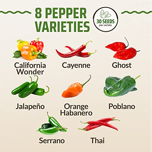 Rooted Acre 8 Varieties Hot Peppers – 240 Heirloom Seeds, High Germination – Includes Ghost, Jalapeño, Serrano, California Wonder & More – Spicy Pepper Garden Mix - Image 3