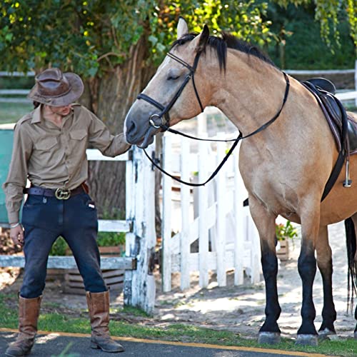 Bringing Your Horse Back Into Work Podcast Por  arte de portada