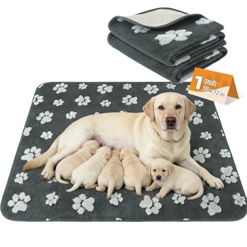 Image of KOOLTAIL Washable & Waterproof Dog Whelping Pad for Large Dogs, 72x72in Super Absorbent & Soft Warm Plush Puppy Pads Potty Training, Quick Dry Reusable Pet Mats for Whelping Box Supplies,Playpen,Crate
