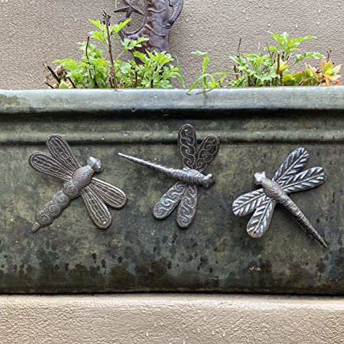 It's Cactus - Metal Art Haiti Set Of 3 Small Garden Dragonflies 6 Inches, Decorative Wall Hanging Plaques, Indoor Outdoor, Fall Decorations, Handmade, Fair Traded Haitian Artwork #TOP3
