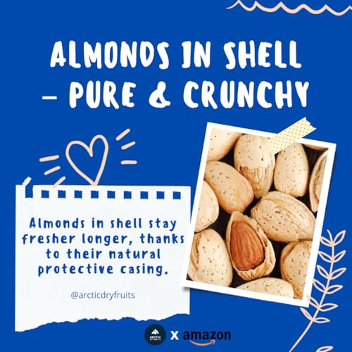 Image of Arctic Dryfruits California Almonds in Shell (500g) | Whole Natural Badam | Quality Inshell Badam | With Shell | Crunchy Texture | Ideal for Snacking & Gifting | Dry Fruits & Nuts