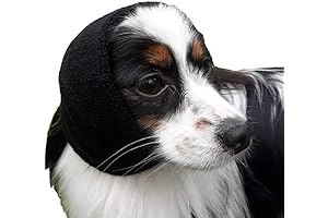 Happy Hoodie Calming Band: Anxiety Relief for Your Furry Friend