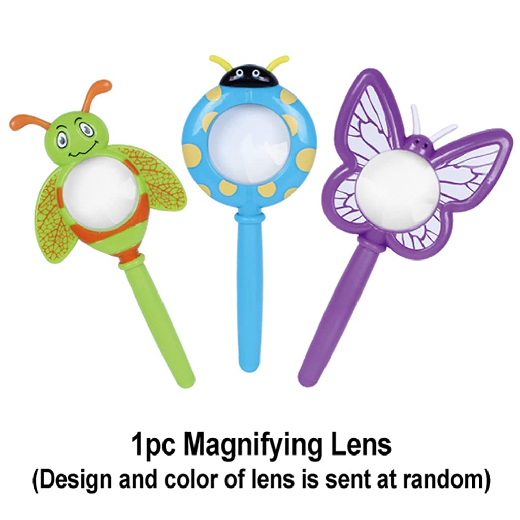 Specie di Insetti Campione Resina Set,Insetti in Resina,Giocattoli Animali Esemplare Fermacarte Collezione Bambino,Regalo di Compleanno,Giochi investigativi,Arredamento per la casa