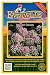 Everwilde Farms - 600 Prairie Onion Native Wildflower Seeds - Gold Vault Jumbo Seed Packet