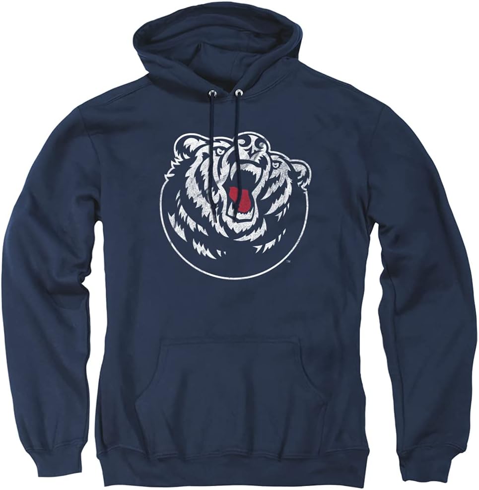 LOGOVISION Official Collegiate Distressed Primary Logo Adult Pullover Hoodie Collection