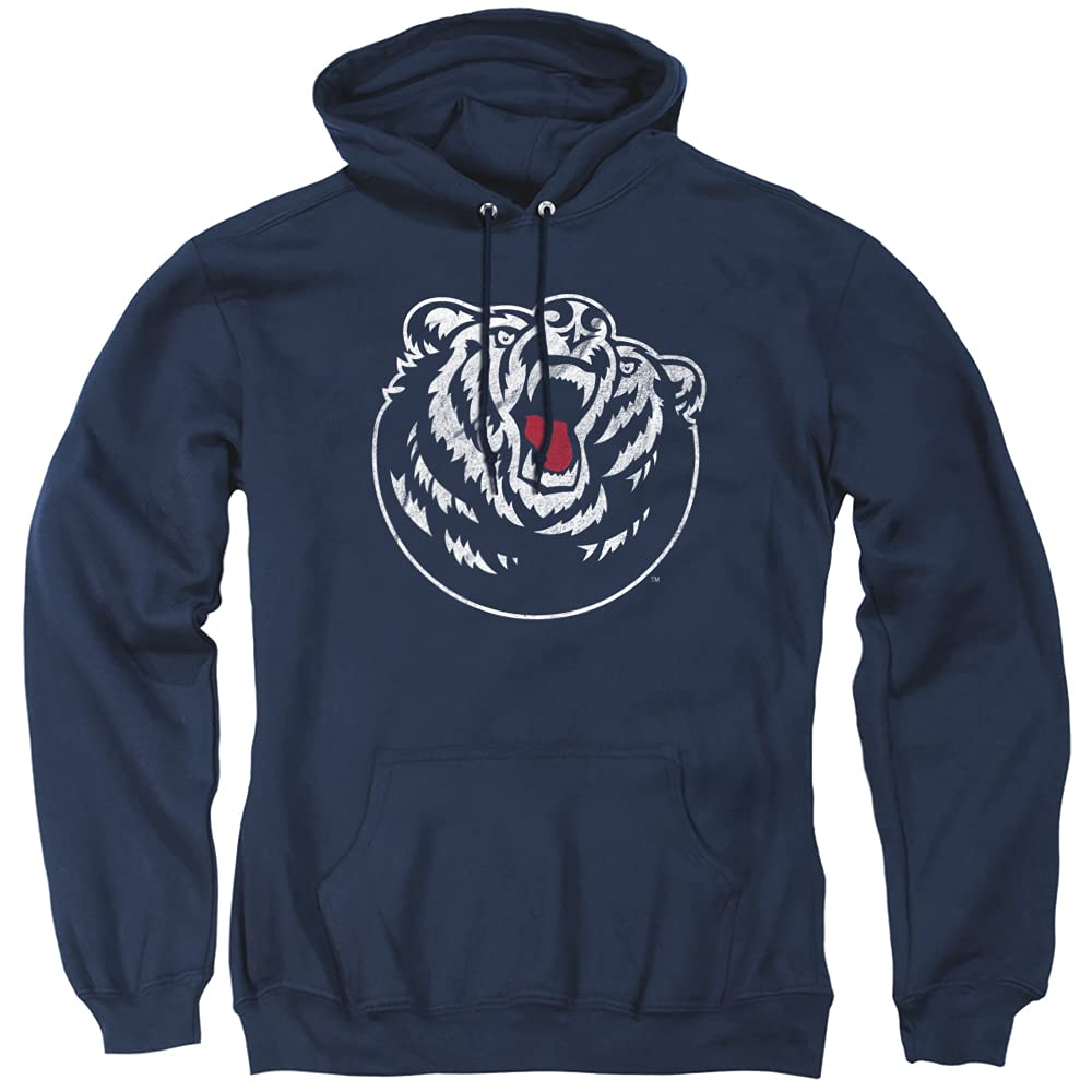 LOGOVISION Official Collegiate Distressed Primary Logo Adult Pullover Hoodie Collection — view 52