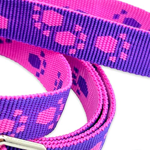 Set di collare per cani e guinzaglio con motivo a